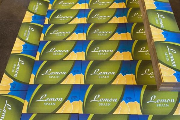 WhatsApp Image 2020-12-28 at 18.53.27 (2)