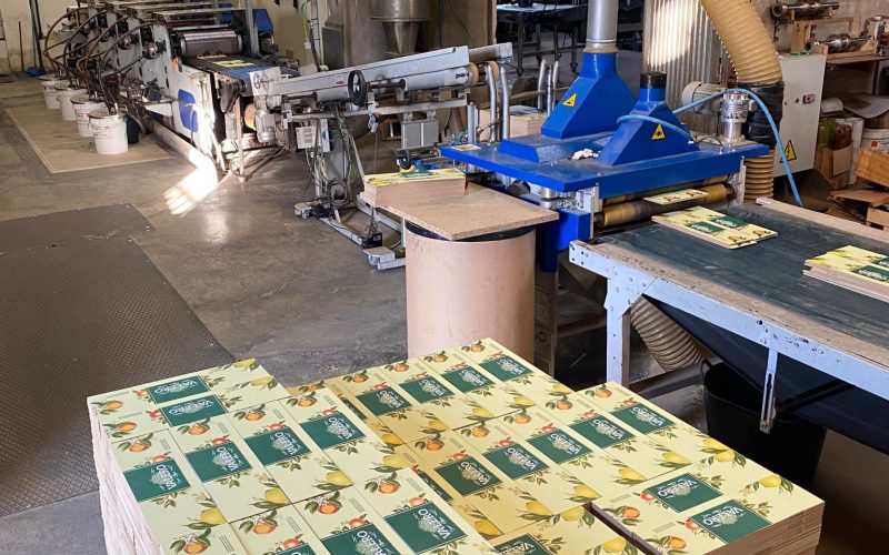 WhatsApp Image 2020-12-29 at 17.43.11